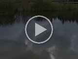 Cold Water Challenge 2014 - MV St. Jakob im Walde.mp4